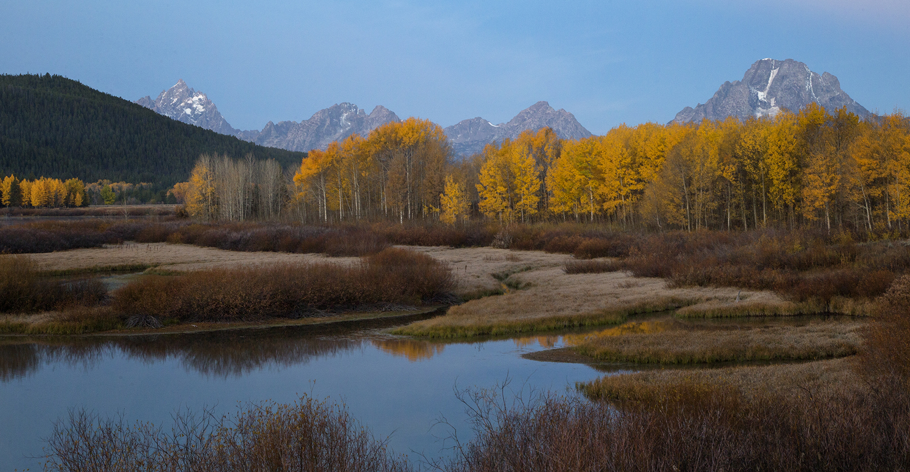 Jackson Hole Wildlife Film Festival Comes to TA: Feb. 11 Jackson Hole Wildlife Film Festival Comes to TA: Feb. 11