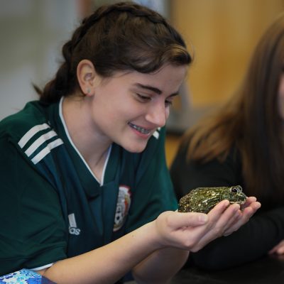 VT Reptile Educator Visits Biology Class VT Reptile Educator Visits Biology Class