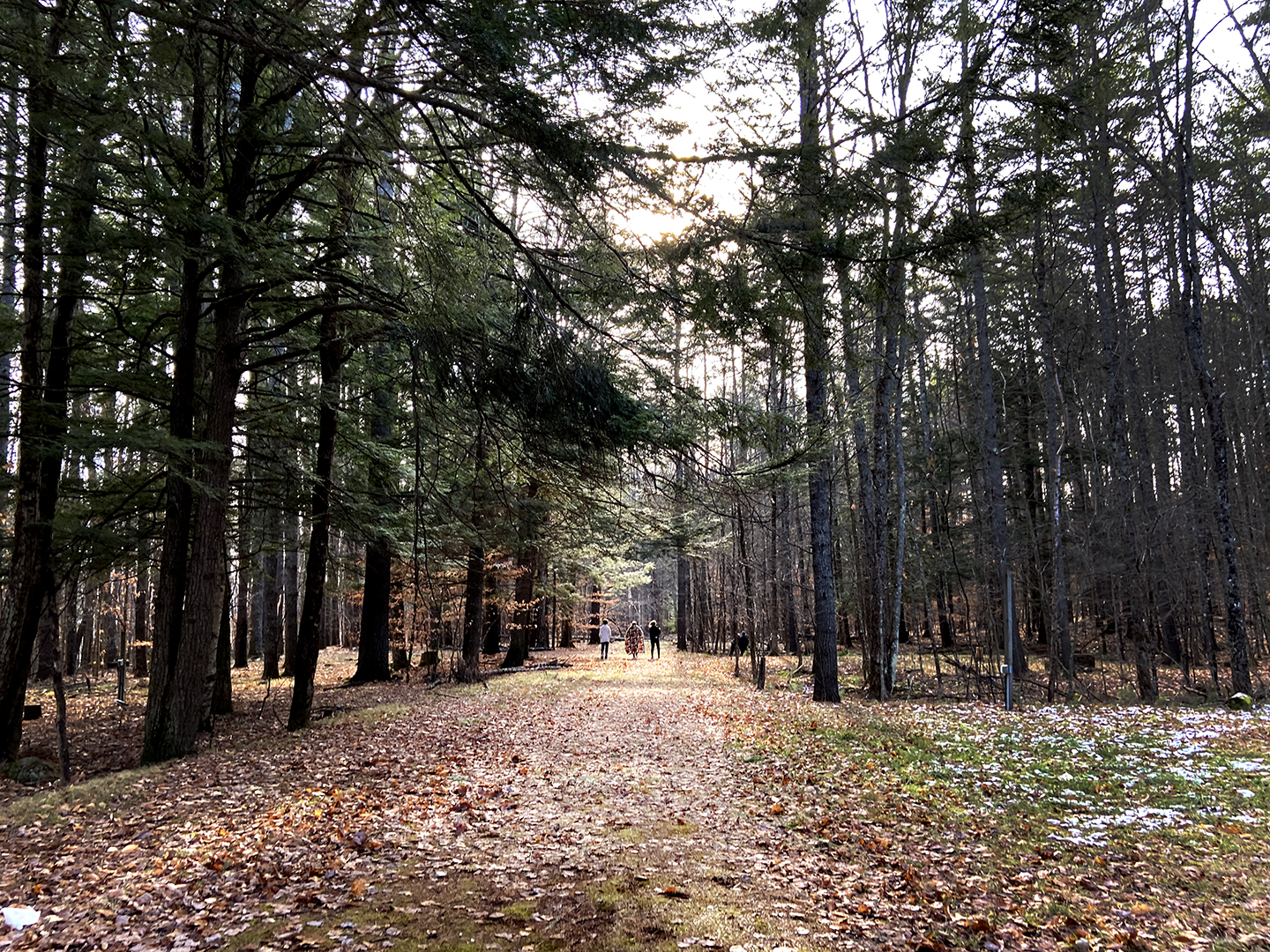 Head of School Weekly Email: 1st Semester Final Stretch, January Dates, 2nd Semester Planning Head of School Weekly Email: 1st Semester Final Stretch, January Dates, 2nd Semester Planning
